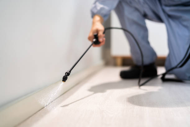 Licensed Ant Control service in Stockton University, NJ - Show Me Pest Control