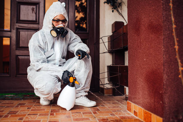 Reliable Ant Control contractor in Stockton University, NJ by Show Me Pest Control